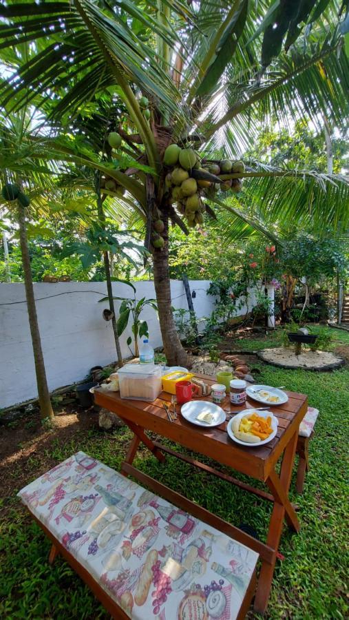 Wine Tree Garden Guesthouse มิริสซา ภายนอก รูปภาพ