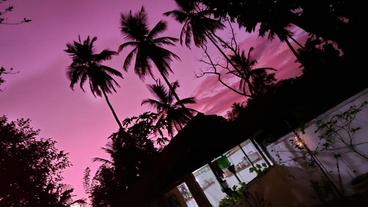 Wine Tree Garden Guesthouse มิริสซา ภายนอก รูปภาพ