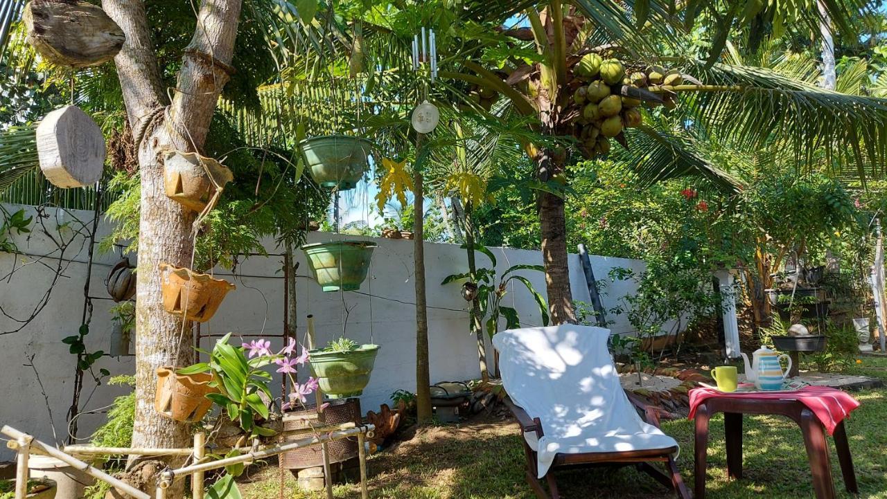 Wine Tree Garden Guesthouse มิริสซา ภายนอก รูปภาพ